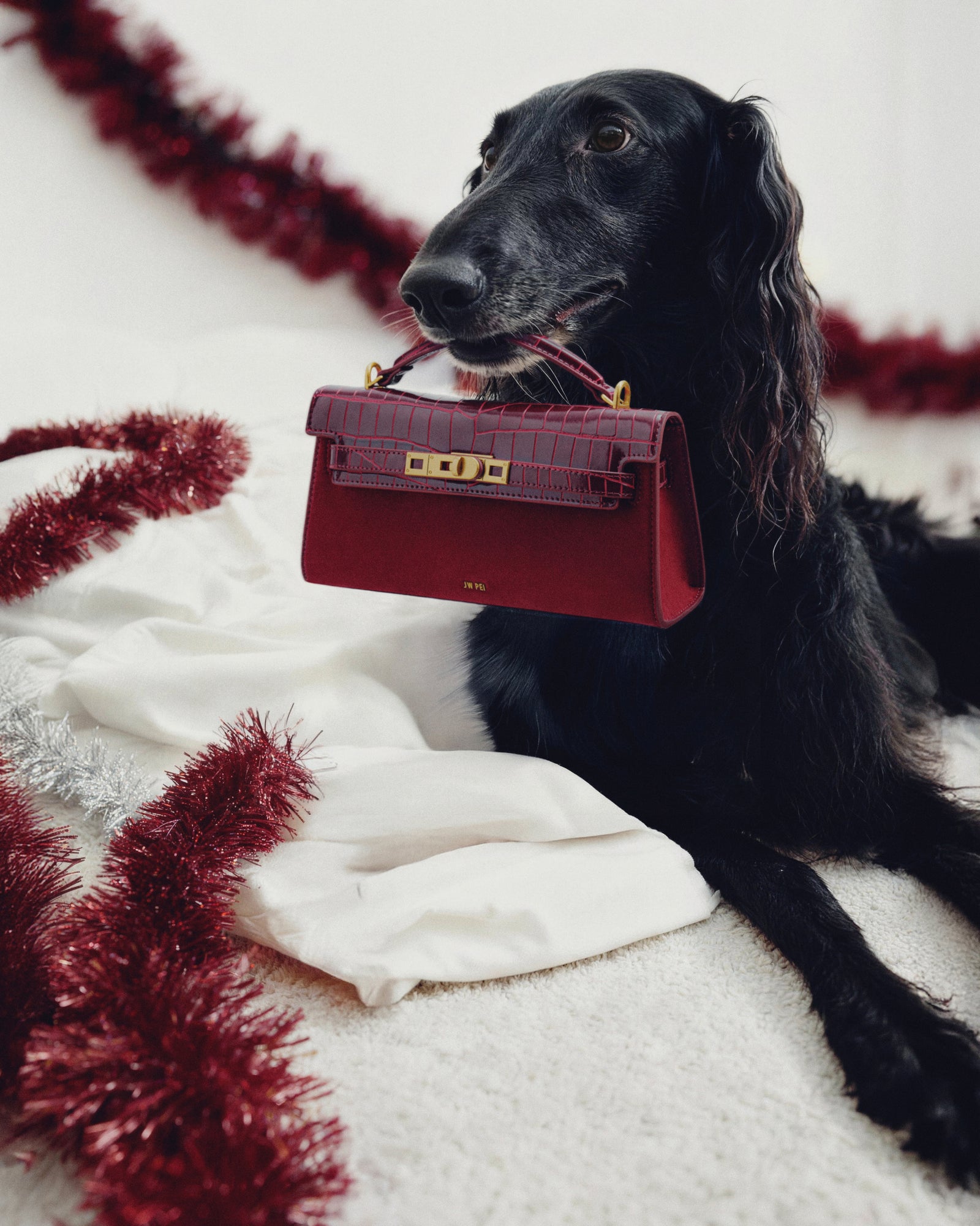 Dog holding a red handbag in its mouth on a white surface with red tinsel