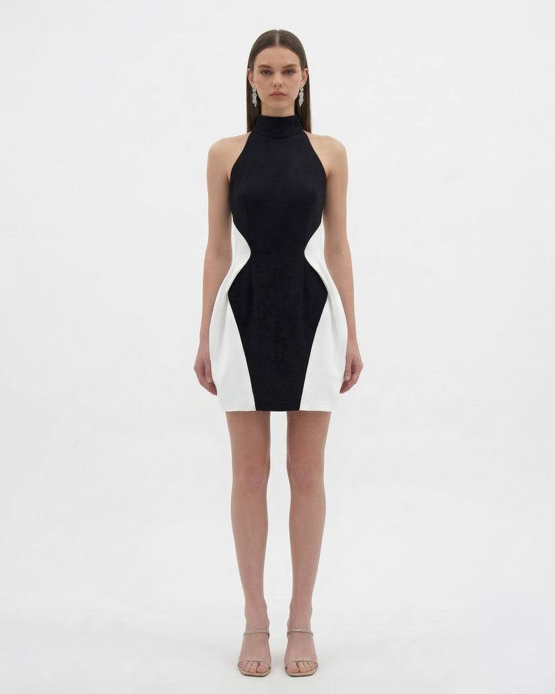 Contrast Panel Bodycon Dress - Black White