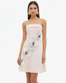 Orchid Embroidered Strapless A-Line Midi Dress - Blush Pink
