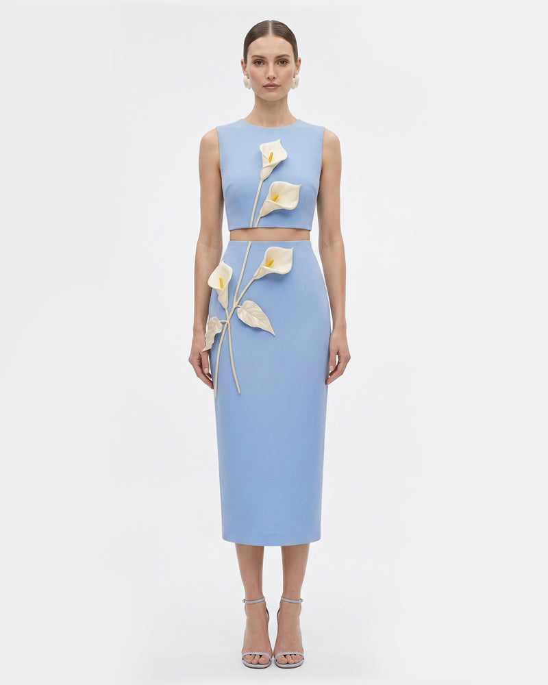Floral Appliqué Crew Neck Crop Top - Light Blue