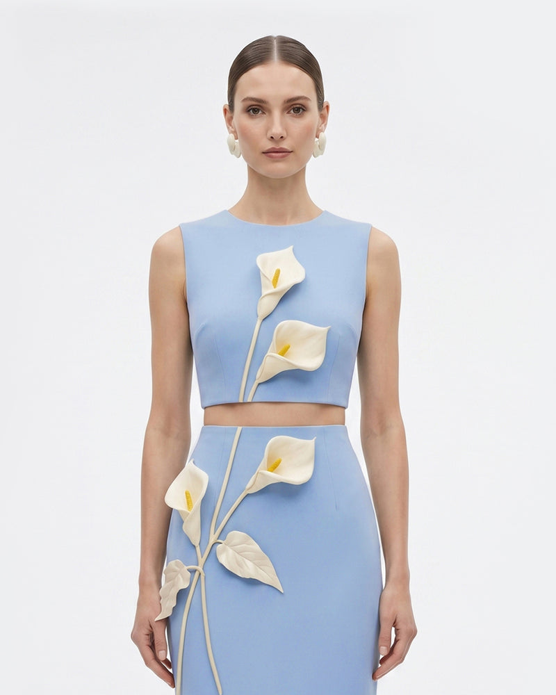 Floral Appliqué Crew Neck Crop Top - Light Blue