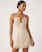Flower Embroidered Mini Dress - Light Champagne