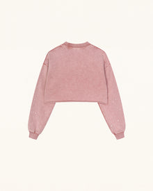 Sparkle Fireworks Cropped Sweatshirt - Bubblegum Pink