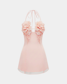 Flower Embroidered Mini Dress - Blush Pink