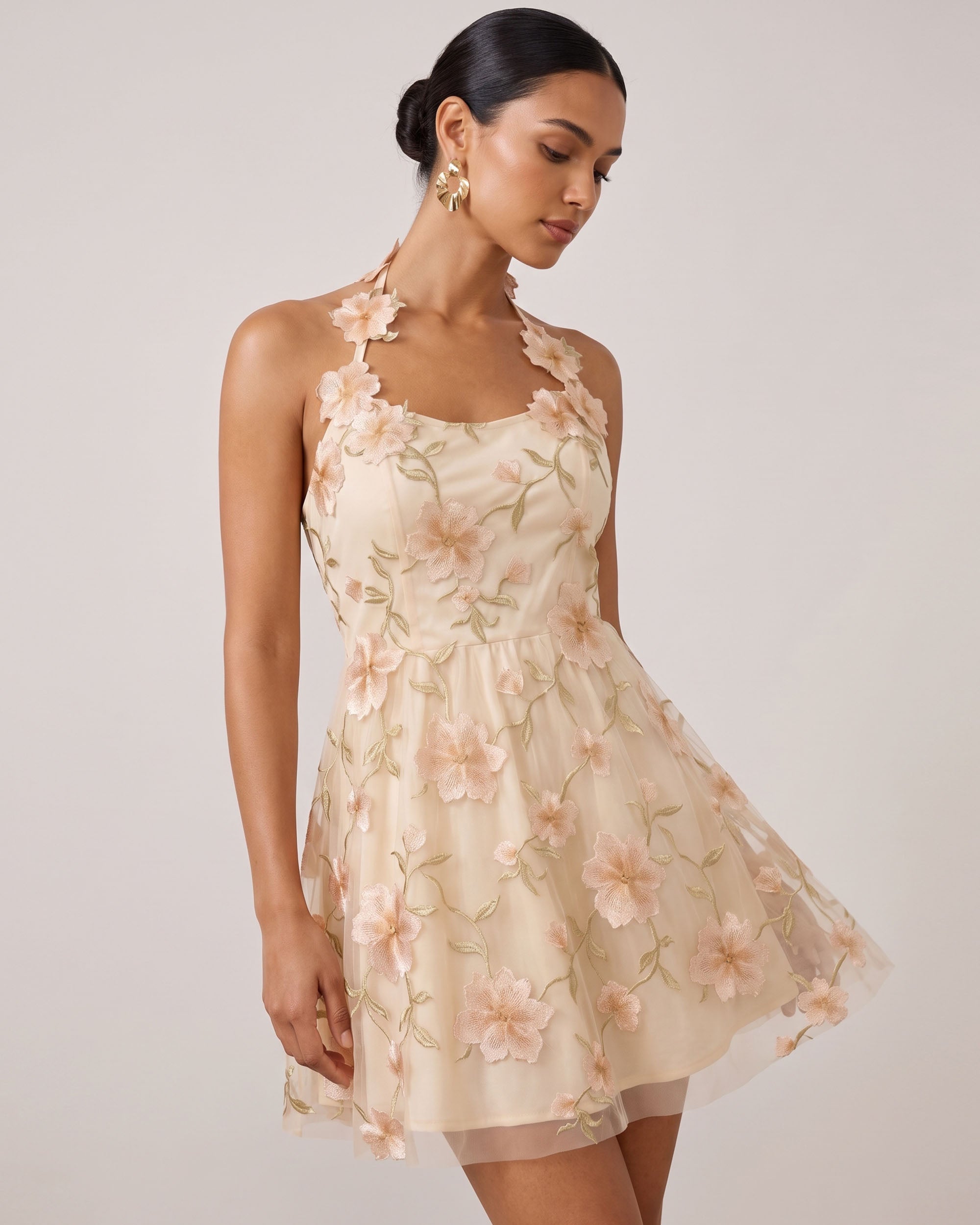 3D Floral Appliqué Sheer Mini Dress - Champagne