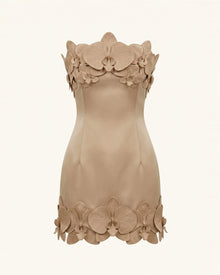 Orchid Trim Strapless Mini Dress - Mocha Brown