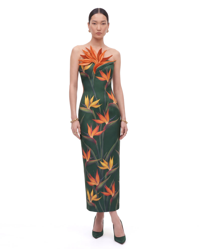 Bird of Paradise Appliqué Strapless Column Midi Dress - Green