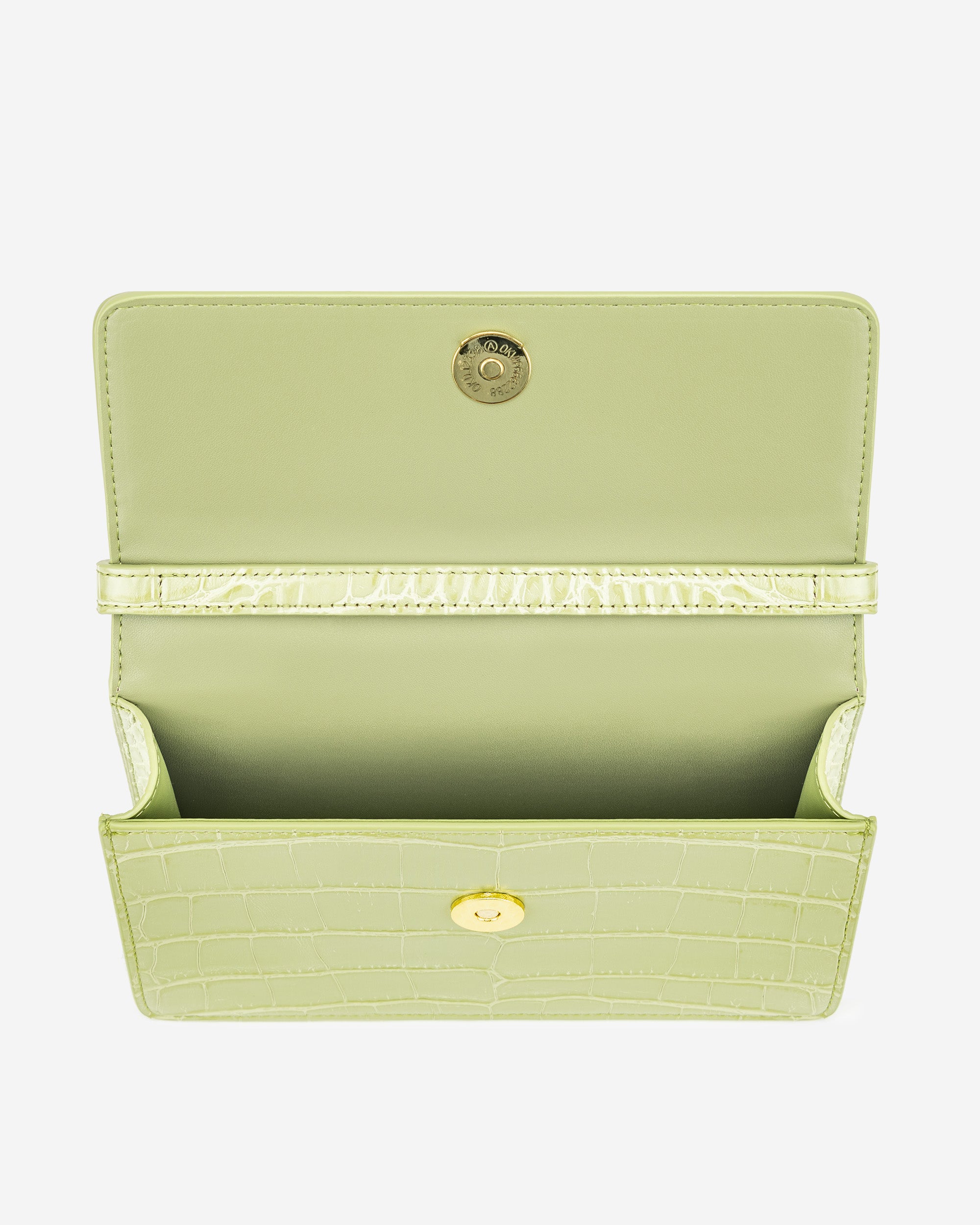 Julia Acrylic Chain Crossbody Bag - Sage Green Croc